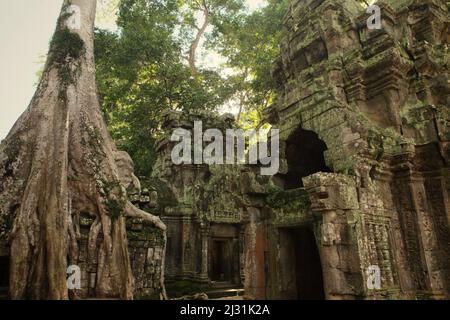 Vue d'un coin au temple de Ta Prohm à Siem Reap, Cambodge. Autrefois utilisé comme un ensemble pour un film hollywoodien de 2001 Lara Croft: Tomb Raider avec Angelina Jolie, et surtout connue pour ses racines géantes d'arbres sauvages enracinés profondément entre les pierres, Ta Prohm était un monastère pour les étudiants du bouddhisme Mahayana, avant qu'il ne soit abandonné et oublié pendant des centaines d'années. Banque D'Images