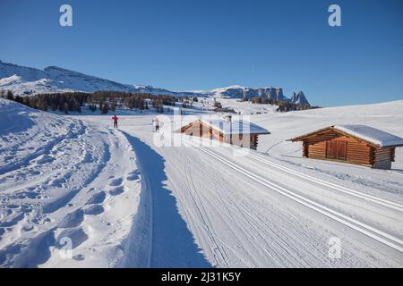 Pistes de ski sur le plateau près de Seiser Alm et Ortisei à Gröden aka Val Gardena, province autonome de Bolzano - Tyrol du Sud, Italie Banque D'Images