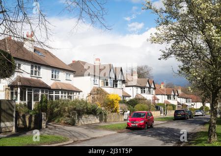 Une rangée de maisons mitoyennes le long de Fitzroy Drive à Roundhay, Leeds, Yorkshire, Angleterre, Royaume-Uni Banque D'Images