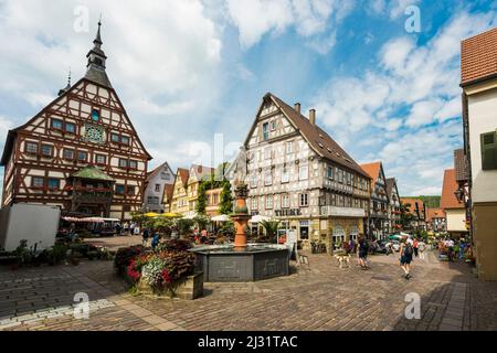 Vue sur la ville, Besigheim an der Enz, Neckar, Bade-Wurtemberg, Allemagne Banque D'Images