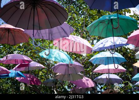 parasol coloré arrière-plan parasols colorés dans le jardin Banque D'Images