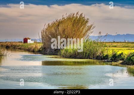 Vue panoramique sur le parc naturel d'Albufera, Valence, Communauté Valencienne, Espagne Banque D'Images