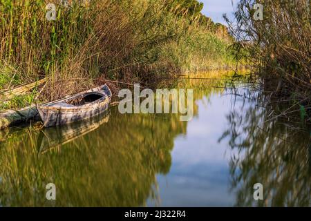 Vue panoramique sur un canal d'eau, Parc naturel d'Albufera, Valence, Communauté Valencienne, Espagne Banque D'Images