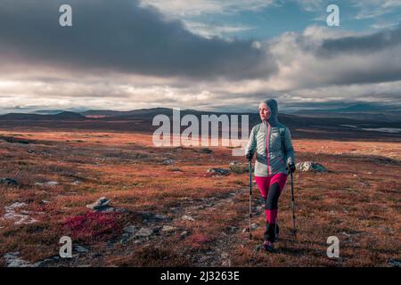 Femme randonnée sur le sentier de randonnée de Kungsleden dans le parc national de Pieljekaise en automne en Laponie en Suède Banque D'Images