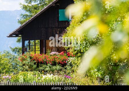 Fleurs, jardin, ferme, Aldein, Radein, Tyrol du Sud, Alto Adige, Italie Banque D'Images