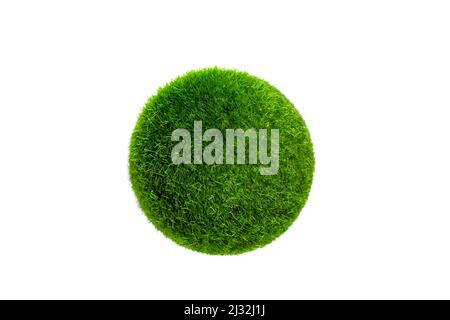 Isolé sur une boule blanche recouverte d'herbe. Banque D'Images