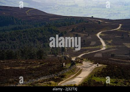 Route de Moel Fabau à Moel Fenlli, chaîne de Clwydian, Denbighshire, pays de Galles du Nord Royaume-Uni. Banque D'Images