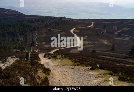 Route de Moel Fabau à Moel Fenlli, chaîne de Clwydian, Denbighshire, pays de Galles du Nord Royaume-Uni. Banque D'Images