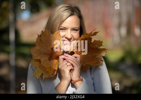 Laughingblonde femme, ramasser, tenant un bouquet de feuilles jaunes de feuillage doré mauves dans deux mains, ombre flou. Fermer Banque D'Images