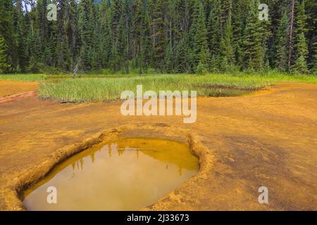 Parc national Kootenay, Paint pots Banque D'Images