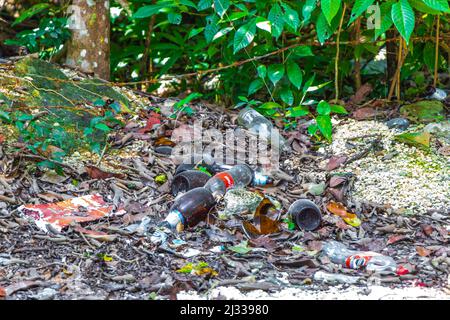 Déchets déchets déchets bouteilles de déchets dans la forêt tropicale mexicaine forêt naturelle vue panoramique à Puerto Aventuras Quintana Roo Mexique. Banque D'Images