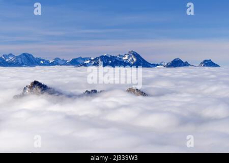 Vue sur la mer de brouillard et les sommets de montagne du Heuberg, en arrière-plan Spitzing zone et Wendelstein, de Feichteck, Chiemgau Alpes, haute-Bavière, Bavière, Allemagne Banque D'Images