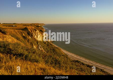 La craie s'édevant en Normandie à l'heure d'or, en France près d'Etretat. Banque D'Images