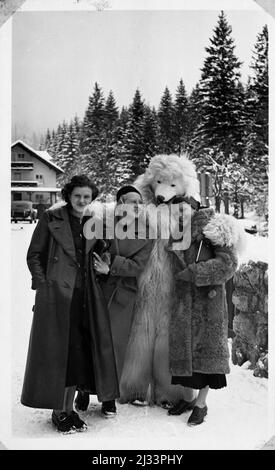 Olympiade Garmisch-Partenkirchen - Jeux Olympiques à Garmisch-Partenkirchen, Garmisch-Partenkirchen, Allemagne. Albums photo d'EVA Braun, env. 1913 - env. 1944. Ces albums sont attribués à Eva Braun (quatre sont revendiqués par son amie Herta Schneider, née Ostermeyer) et documentent sa vie de ca. 1913 à 1944. Il y a de nombreuses photos d'Eva, de ses sœurs et de leurs enfants, d'Herta Schneider et de ses enfants, ainsi que des photos des vacances d'Eva, des membres de sa famille et des amis. On y trouve également des photographies prises par et d'Eva Braun au chalet hitlérien Berghof (ou Kehlstein), des photographies d'Hitler et Banque D'Images