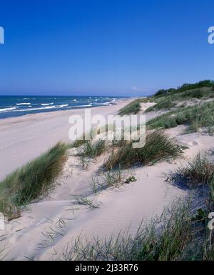 Plage de la mer Baltique à Nidden, Kurische Nehrung, Curonian Spit, Lituanie, pays baltes, Europe Banque D'Images