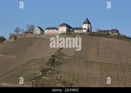 Vue de Marienburg près de Pünderich sur la Basse Moselle, Rhénanie-Palatinat, Allemagne Banque D'Images