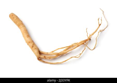 Racine de ginseng isolée sur fond blanc de près Banque D'Images