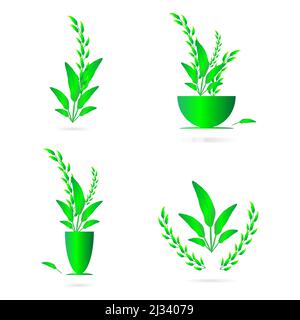 Fleurs vase plante pot vert nature couronne abstrait arrière-plan art graphique design motif illustration vectorielle Illustration de Vecteur