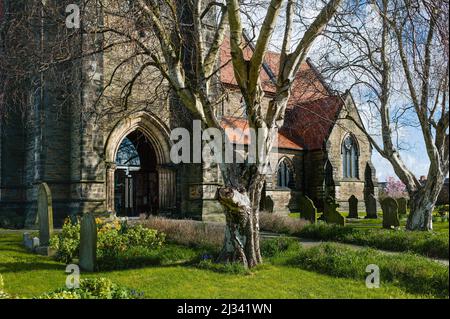 Église Saint-Nicolas avec vue sur les pierres tombales et flanquée de pelouses et d'arbres sous le ciel bleu sur une belle source ensoleillée morninbg à Beverley, Yorkshire, Royaume-Uni. Banque D'Images