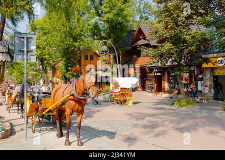 Zakopane, Pologne - 13 septembre 2016 : des chevaux dessinés sont en file d'attente dans la ville sur la rue Krupowki. Promenades dans de telles calèches avec des visites touristiques Banque D'Images