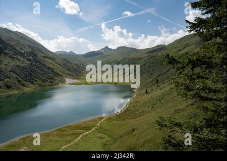 magnifique lac dans les montagnes avec arbre en premier plan Banque D'Images