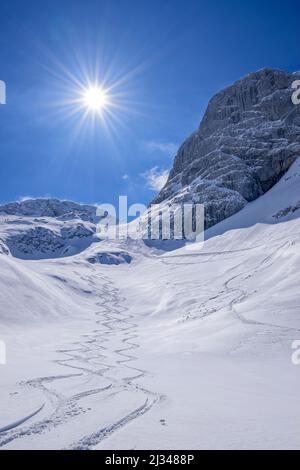 Deux pistes de descente dans une large pente de neige, Hoher Göll, Alpes de Berchtesgaden, Parc national de Berchtesgaden, haute-Bavière, Bavière, Allemagne Banque D'Images