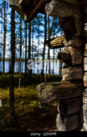 Ancienne maison en bois dans le parc national de Patvinsuo, Finlande Banque D'Images