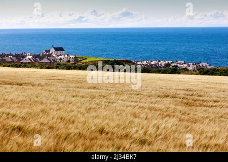 Champs de maïs sur la côte à Banff, église Findochty, Moray Firth, Aberdeenshire, Écosse, ROYAUME-UNI Banque D'Images