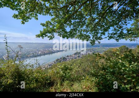 Vue de Erpeler Ley à Erpel am Rhein, Rhénanie-Palatinat, Allemagne Banque D'Images