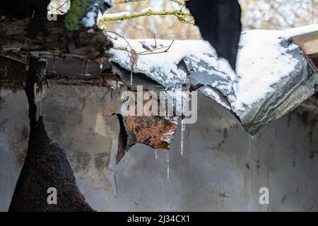 Grand trou dans un vieux toit avec de la neige dessus. Le papier de couverture est suspendu avec des glaçons attachés. Une petite cabine dans les bois est en panne. Banque D'Images