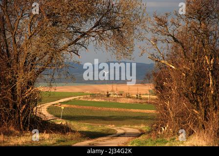 Un chemin de panneau entre les buissons menant vers le parc éolien Banque D'Images