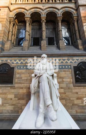 Angleterre, Londres, South Kensington, Musée d'histoire naturelle, statue de Charles Darwin Banque D'Images