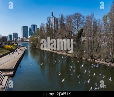 Une vue urbaine sur les gratte-ciels modernes au bord de la rivière par une journée ensoleillée Banque D'Images