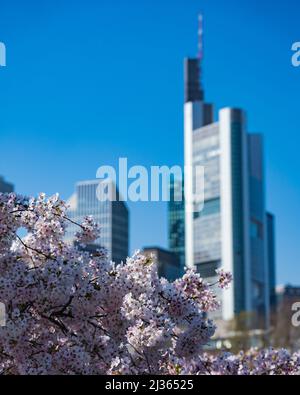 Une vue sur la ville des gratte-ciels modernes au printemps par une journée ensoleillée Banque D'Images