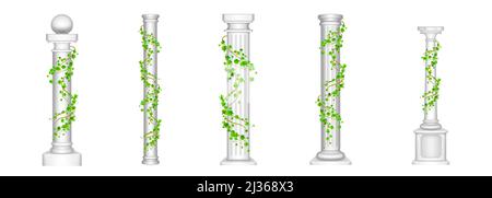 Colonnes Ivy, piliers anciens avec feuilles de liana grimpantes vertes isolées sur fond blanc. Ancienne pierre classique architecture romaine ou grecque pour Illustration de Vecteur