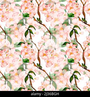 Cerisier en fleur, motif aquarelle sans couture sur fond blanc. Fleurs printanières de fleurs de pomme. Boutons peints à la main, branche avec inflorescence blanche, rose, rouge Banque D'Images