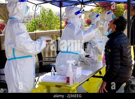 (220406) -- SHANGHAI, le 6 avril 2022 (Xinhua) -- des travailleurs médicaux de la province de Hainan prélèvent des échantillons d'écouvillons de résidents pour des tests d'acide nucléique dans une communauté du district de Jiading de Shanghai, en Chine orientale, le 6 avril 2022. Selon les autorités locales, Shanghai a lancé mercredi une nouvelle série de tests d'antigène et d'acide nucléique à l'échelle de la ville, dans le cadre des efforts visant à contenir la résurgence récente des cas de COVID-19 dans la métropole. La décision a été prise sur la base des résultats des tests de masse des acides nucléiques de lundi, selon le groupe municipal de pointe de Shanghai pour la prévention et le contrôle de la COVID-19. (Xinhua Banque D'Images