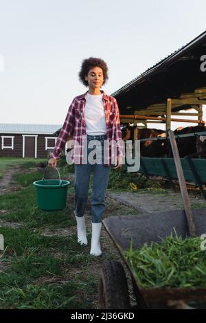 vue sur toute la longueur d'une femme afro-américaine transportant un seau près d'une brouette et d'un abri de cowshed flous Banque D'Images