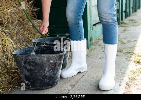 vue rognée de l'agriculteur dans des bottes en caoutchouc blanc près des godets et du foin Banque D'Images