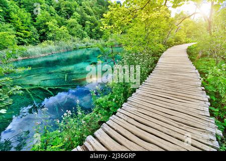 Jetée ensoleillée sur les lacs Gradinsko jezero et Milino Jezero du parc national des lacs de Plitvice, en Croatie, dans la région de Lika. UNESCO monde Banque D'Images