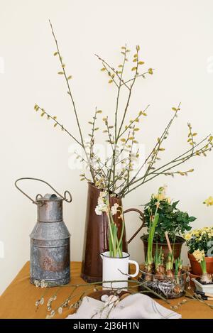 Décoration printanière festive de Pâques. Branches dans un vase, primrosiers dans des pots Banque D'Images