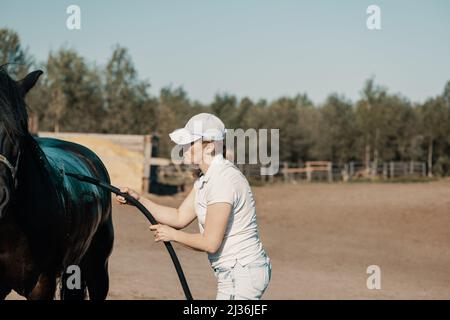 Femme caucasienne lavant le cheval avec le tuyau à l'extérieur. Banque D'Images