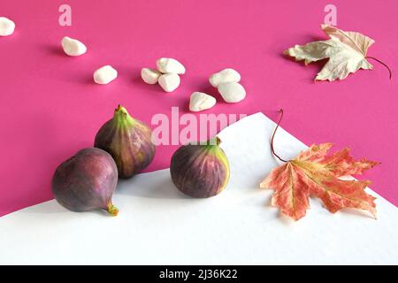 Couleurs d'automne. Fruits figuiers violet et magenta sur du papier fuchsia éclatant et des couches blanches. Citrouilles décoratives blanches, feuilles d'érable d'automne. Banque D'Images