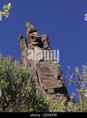 Gran Canaria, route de randonnée ariund Teniguada village dans la municipalité de Valsequillo, époque des fleurs de bugloss bleu Banque D'Images