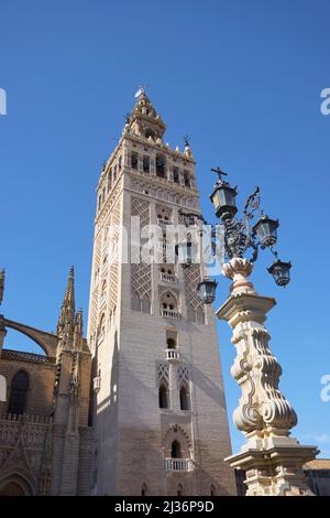 Le clocher de Giralda, Cathédrale, Séville, Espagne Banque D'Images
