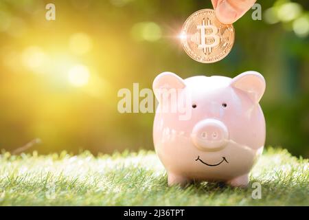 Bon moyen d'économiser de la monnaie Bitcoin ou de l'argent Crypto avec le concept de la banque Piggy. Banque D'Images