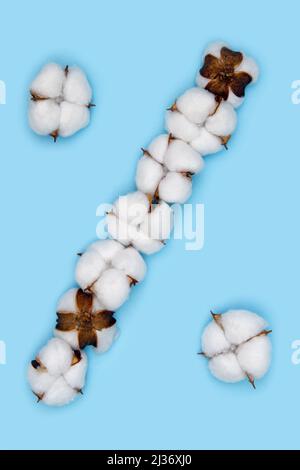 Signe pour cent fait de fleurs de coton et isolé sur fond bleu Uni. Concept de l'alphabet floral et des chiffres. Un signe de l'ensemble de police de coton eas Banque D'Images