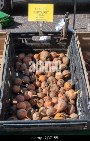 Betterave dorée à vendre sur un marché agricole Banque D'Images