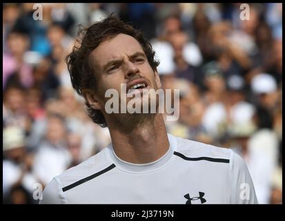 Image ©sous licence de Parsons Media. 10/07/2016. Londres, Royaume-Uni. Championnats de tennis de Wimbledon 2016 jours treize. 10/07/2016. Londres, Royaume-Uni. Championnats de tennis de Wimbledon 2016 jours treize.Andy Murray remporte la finale masculine sur le court de centre, v Milos Raonic dans les championnats de tennis de Wimbledon 2016, photo par Andrew Parsons / Parsons Media Banque D'Images