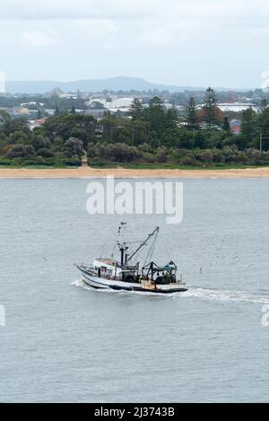 Des hommes se tiennent à mi-navires sur un chalutier de pêche qui nettoie le poisson de près suivi par des oiseaux de mer alors que le bateau entre dans le port de Newcastle en Nouvelle-Galles du Sud, en Australie Banque D'Images